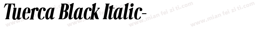Tuerca Black Italic字体转换